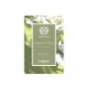 More Antica Farmacista | Scented Card - Fig Leaf