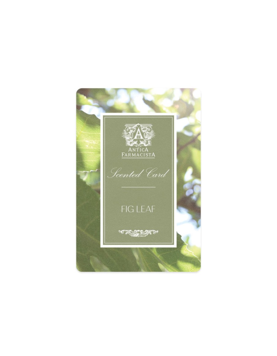 More Antica Farmacista | Scented Card - Fig Leaf