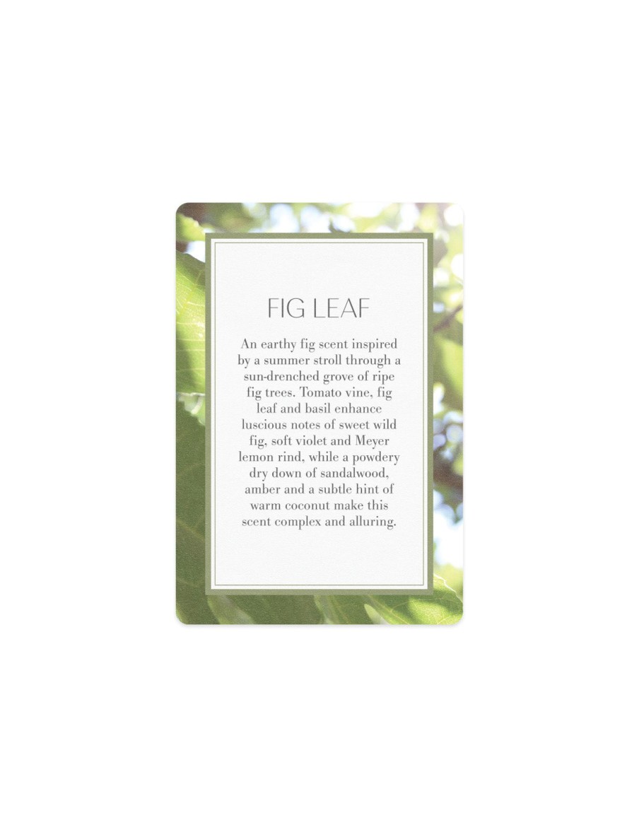 More Antica Farmacista | Scented Card - Fig Leaf