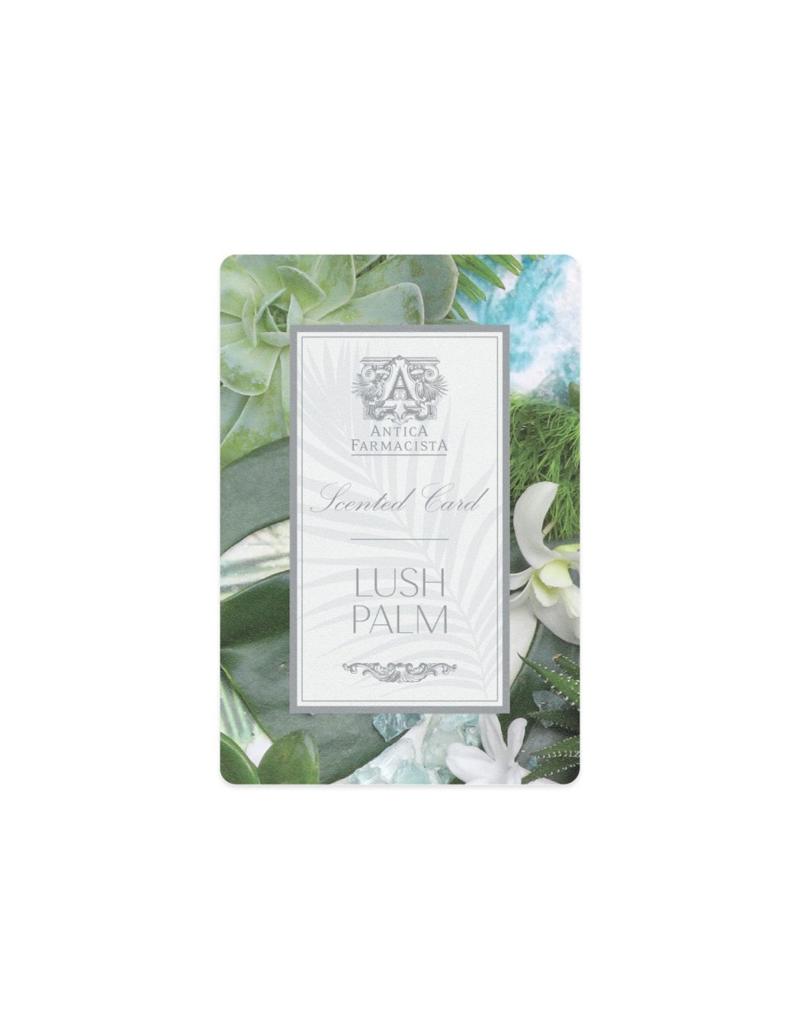 More Antica Farmacista | Scented Card - Lush Palm