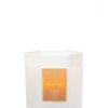 Homen Antica Farmacista | Hana Lei Candle