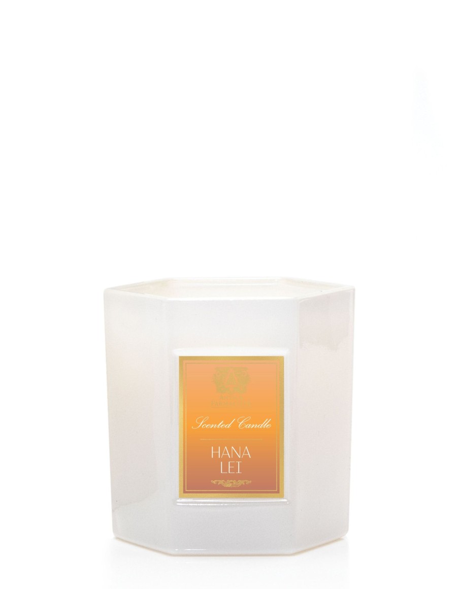 Homen Antica Farmacista | Hana Lei Candle