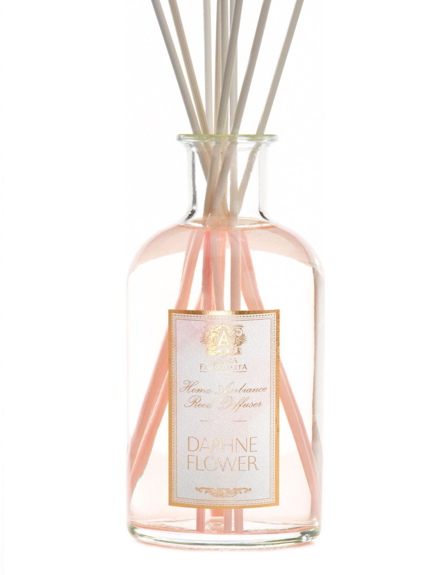 Homen Antica Farmacista | 500Ml Daphne Flower Reed Diffuser