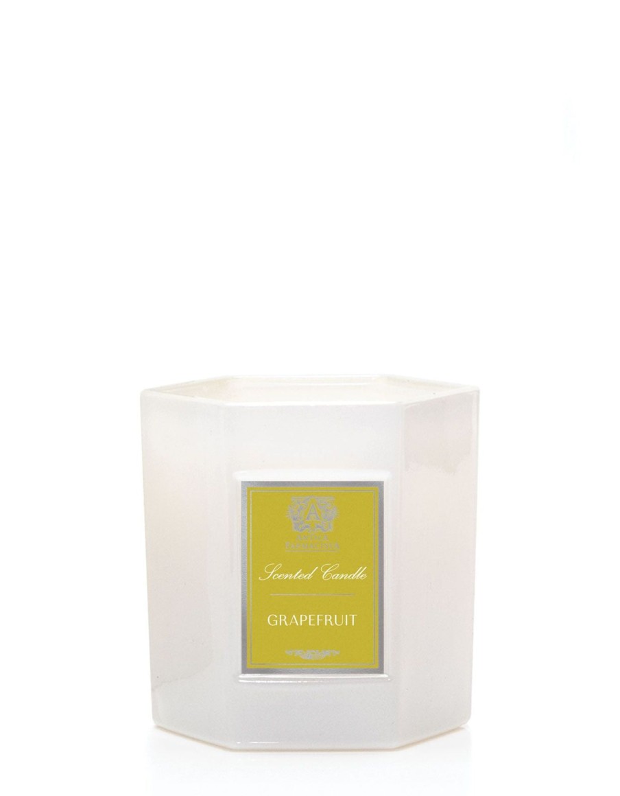 Homen Antica Farmacista | Grapefruit Candle