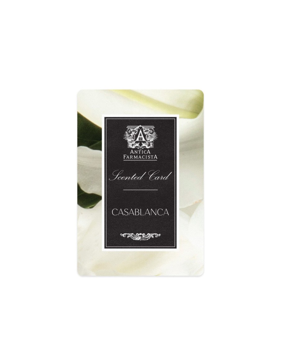 More Antica Farmacista | Scented Card - Casablanca