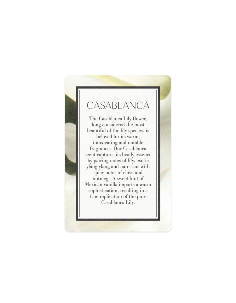 More Antica Farmacista | Scented Card - Casablanca