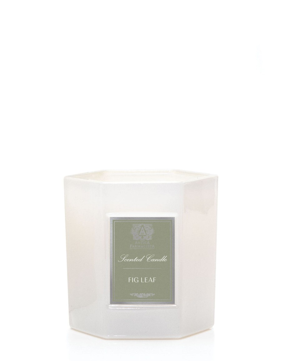 Homen Antica Farmacista | Fig Leaf Candle