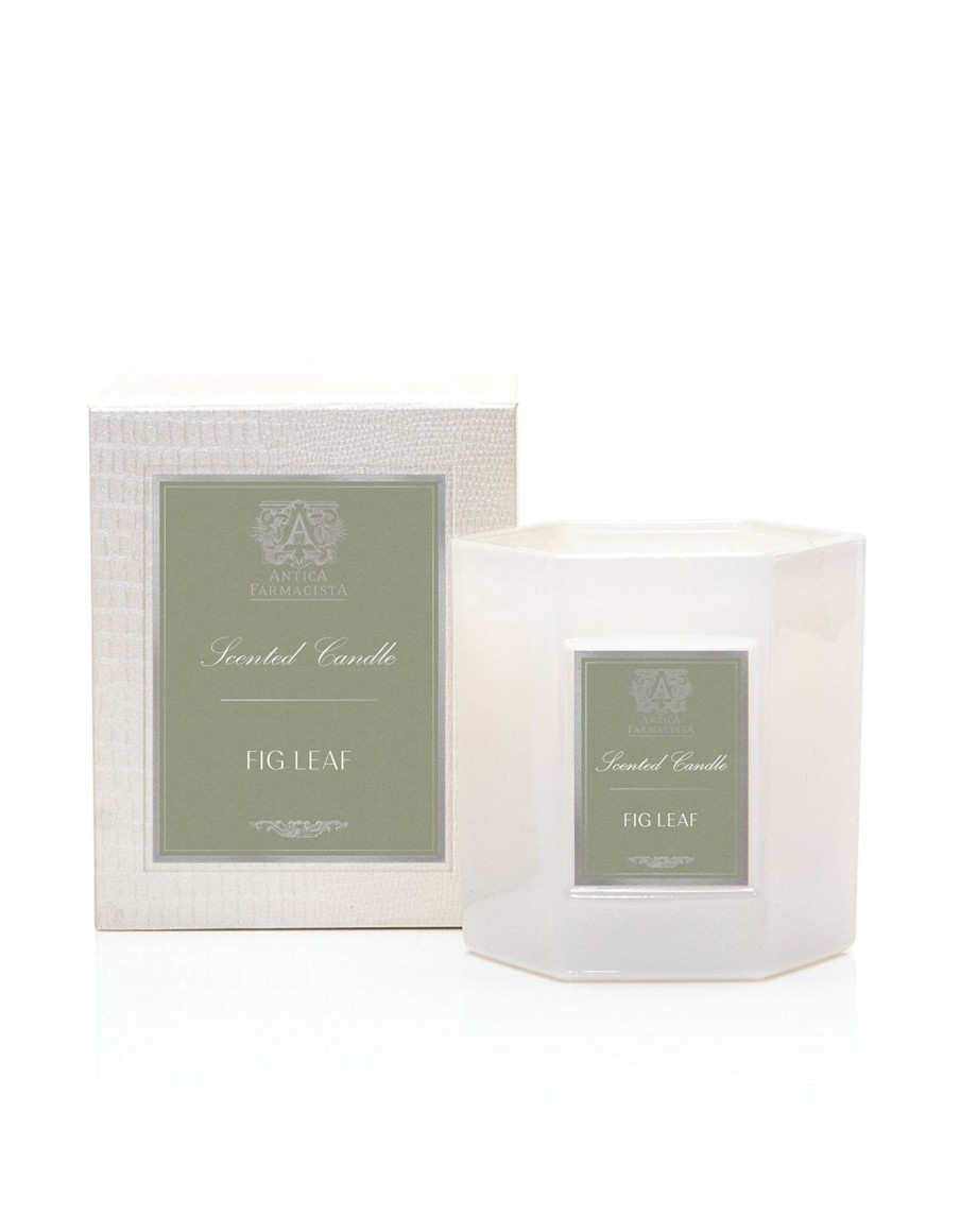 Homen Antica Farmacista | Fig Leaf Candle