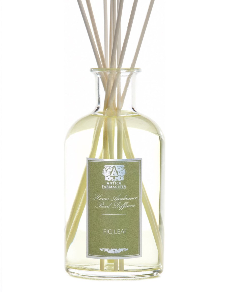 Homen Antica Farmacista | 500Ml Fig Leaf Reed Diffuser