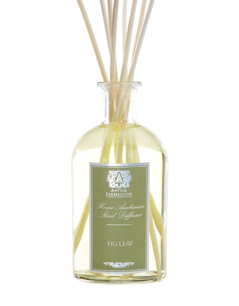 Homen Antica Farmacista | 250Ml Fig Leaf Reed Diffuser