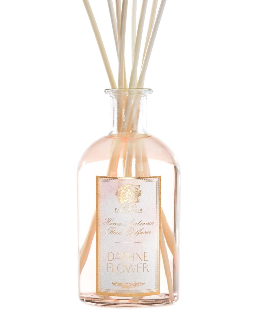 Homen Antica Farmacista | 250Ml Daphne Flower Reed Diffuser