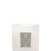 Homen Antica Farmacista | Desert Sage Candle