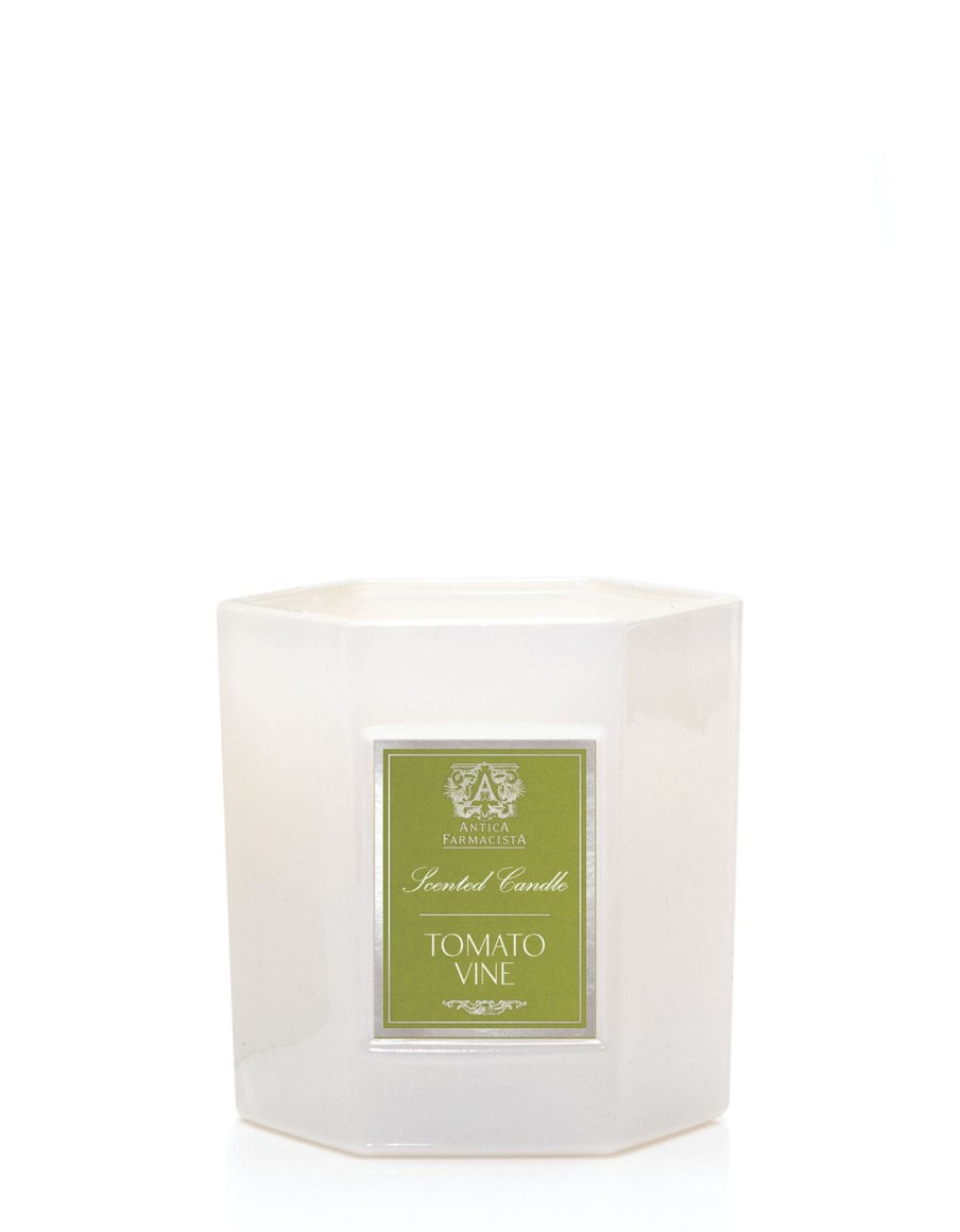 Homen Antica Farmacista | Tomato Vine Candle