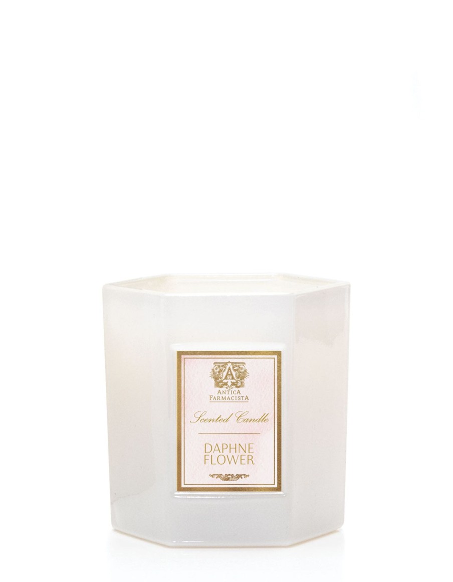 Homen Antica Farmacista | Daphne Flower Candle