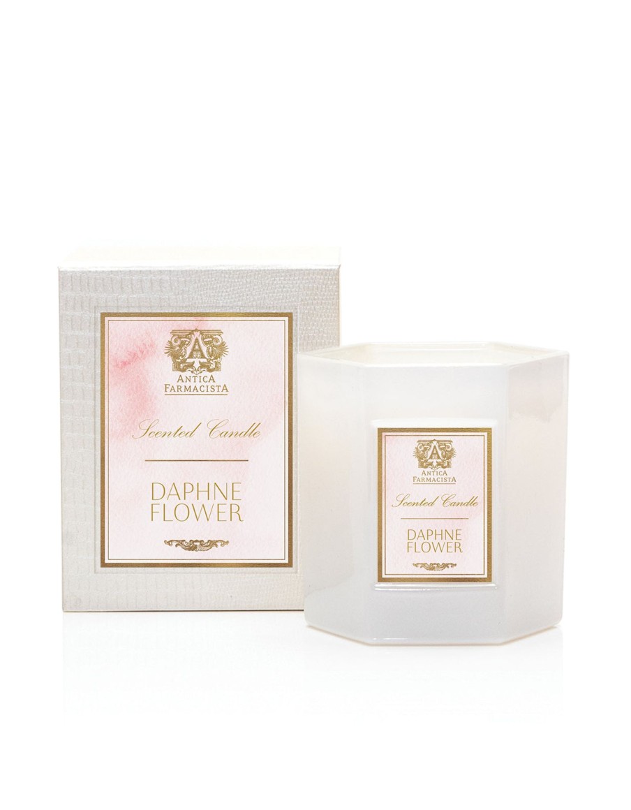 Homen Antica Farmacista | Daphne Flower Candle