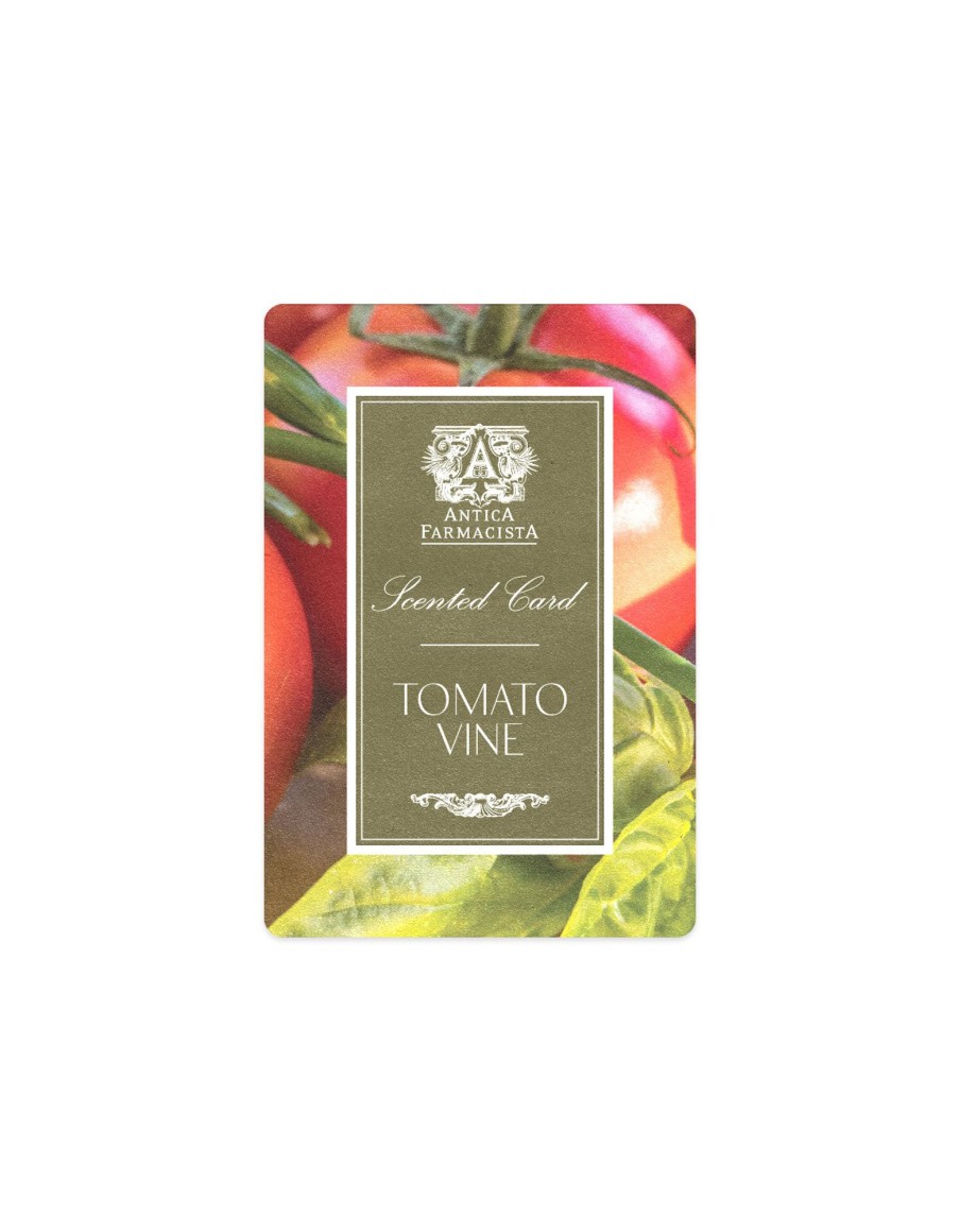 More Antica Farmacista | Scented Card - Tomato Vine